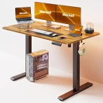 Electric Standing Desk Adjustable Height, 48 * 24 Inch Sit Stand up Desk for Home Office