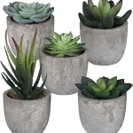 Set of 5 Succulents Fake Plants