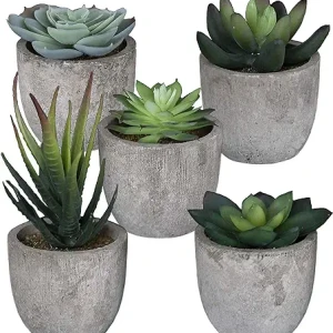 Set of 5 Succulents Fake Plants