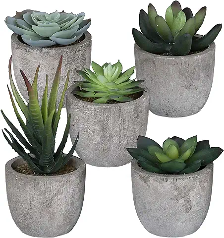 Set of 5 Succulents Fake Plants