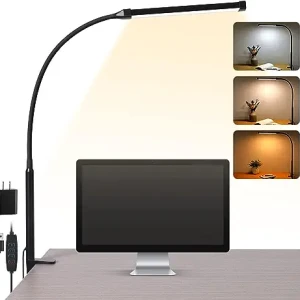 LED Desk lamp